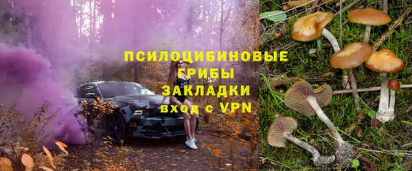 МДПВ Алексеевка