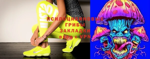 a pvp Алзамай