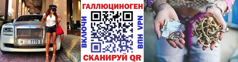 Галлюциногенные грибы Psilocybe  Краснотурьинск 