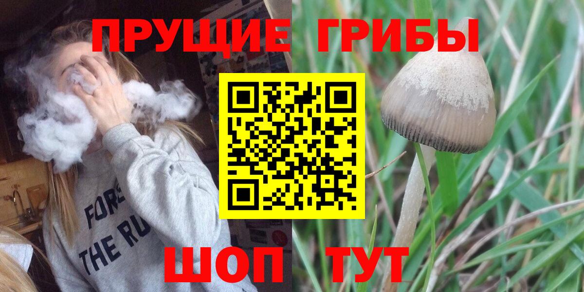 Псилоцибиновые грибы мухоморы  Галлюциногенные грибы Cubensis  Краснотурьинск  Вход с VPN 