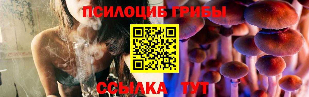 Псилоцибиновые грибы Psilocybine cubensis Краснотурьинск